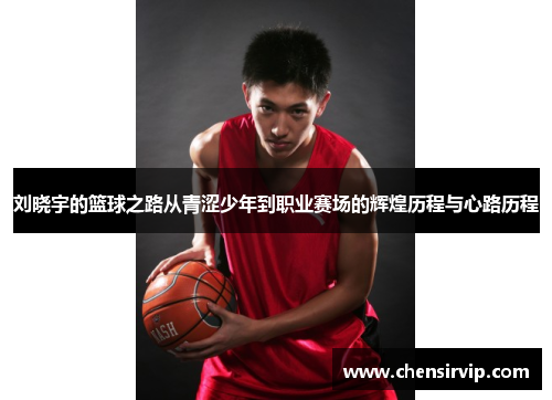 刘晓宇的篮球之路从青涩少年到职业赛场的辉煌历程与心路历程