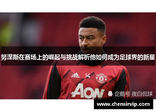 努涅斯在赛场上的崛起与挑战解析他如何成为足球界的新星