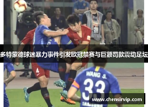 多特蒙德球迷暴力事件引发欧冠禁赛与巨额罚款震动足坛