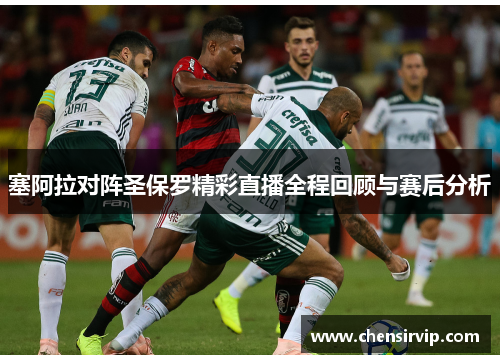 塞阿拉对阵圣保罗精彩直播全程回顾与赛后分析