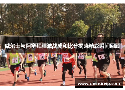 威尔士与阿塞拜疆激战成和比分揭晓精彩瞬间回顾