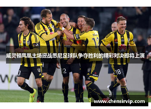 威灵顿凤凰主场迎战悉尼足球队争夺胜利的精彩对决即将上演