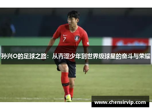 孙兴O的足球之路：从青涩少年到世界级球星的奋斗与荣耀