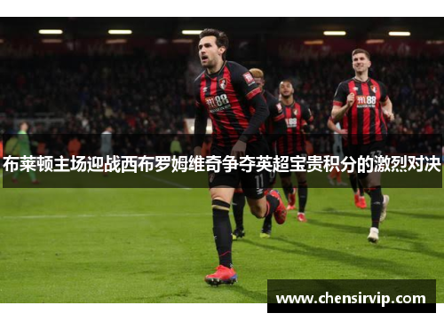 布莱顿主场迎战西布罗姆维奇争夺英超宝贵积分的激烈对决