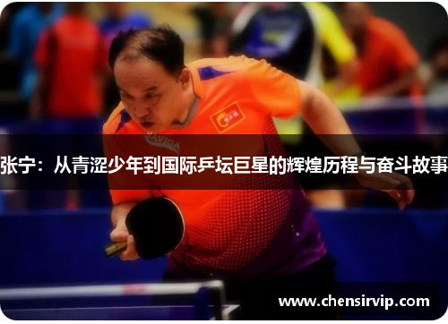 张宁：从青涩少年到国际乒坛巨星的辉煌历程与奋斗故事