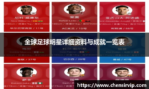 全球足球明星详细资料与成就一览表