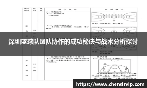 深圳篮球队团队协作的成功秘诀与战术分析探讨