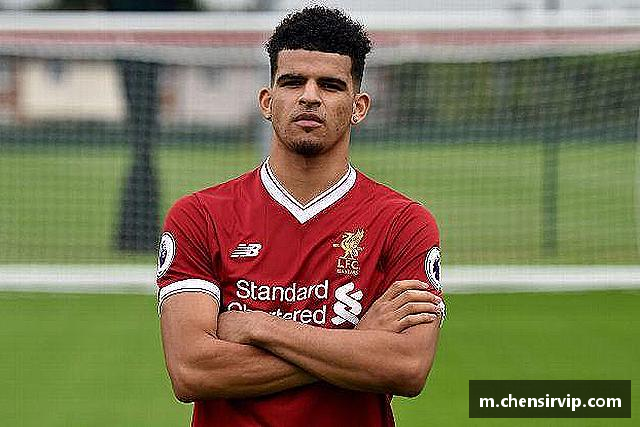 关于悟空·wukong体育